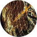 Leon Walker profile picture