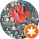 Auto Mechanic Repair Shop for Your Car and Truck - Radman Sheila Diaz profile picture